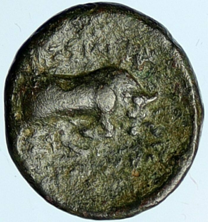 SELEUKOS I Nikator 312BC Genuine Ancient SELEUKID Greek Coin MEDUSA BULL i100508