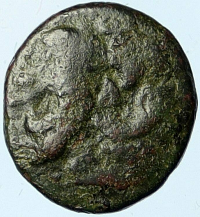 SELEUKOS I Nikator 312BC Genuine Ancient SELEUKID Greek Coin MEDUSA BULL i100508