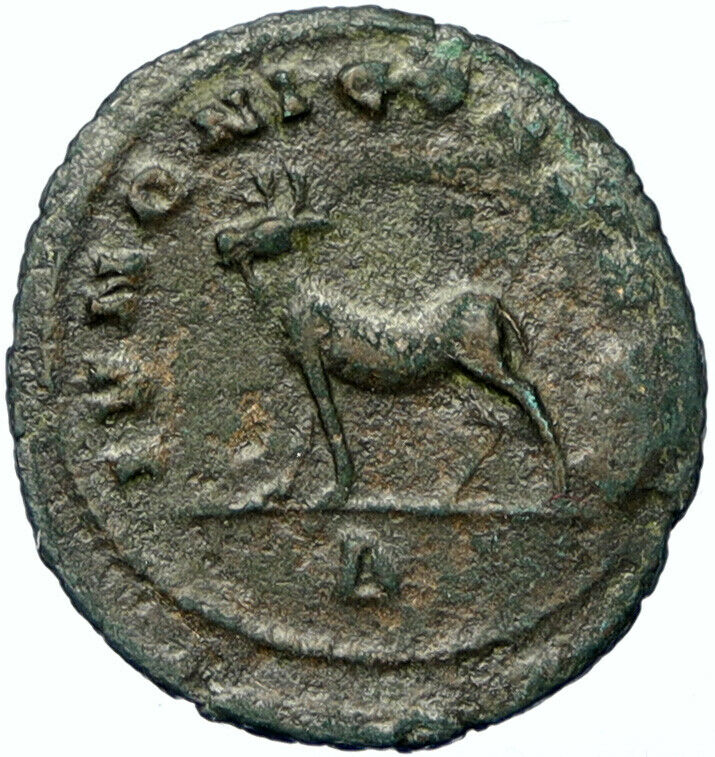 SALONIA Authentic Ancient 267AD Rome Antique OLD Roman Coin BEARDED GOAT i100510