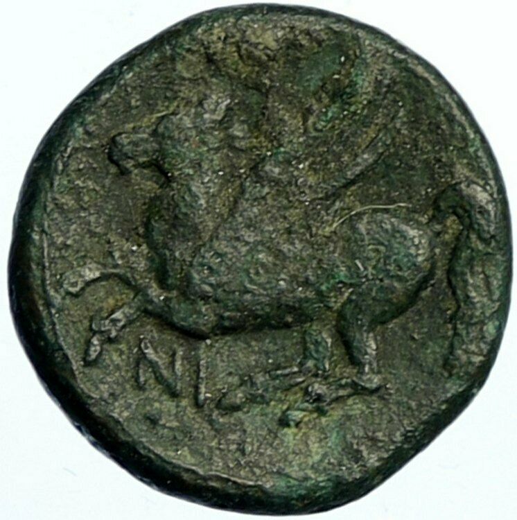 SYRACUSE in SICILY 310BC Agathokles Authentic Ancient Greek Coin PEGASUS i100503