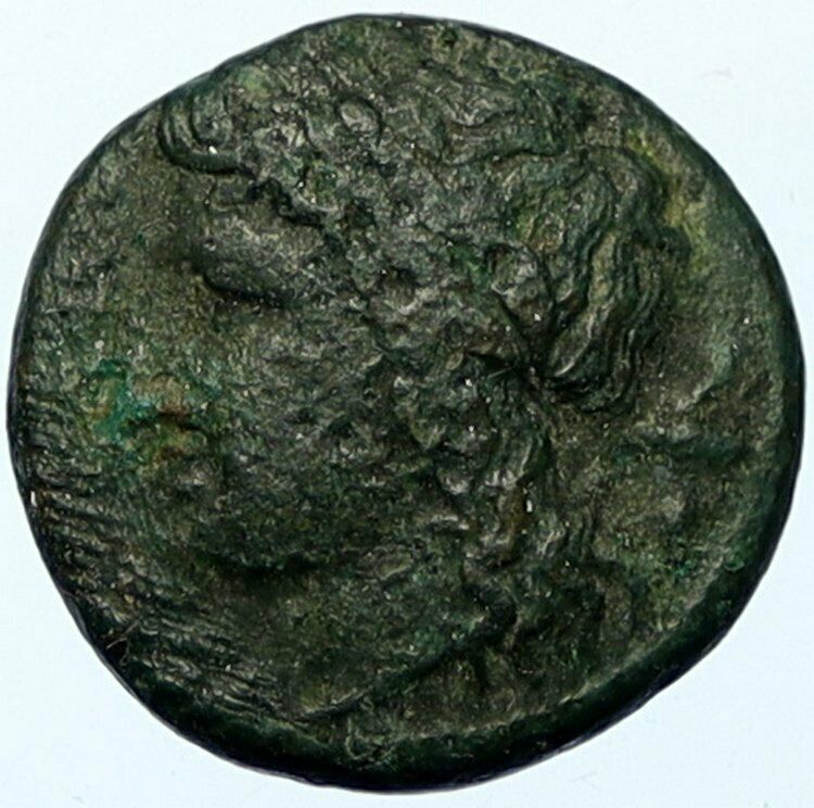 SYRACUSE in SICILY 310BC Agathokles Authentic Ancient Greek Coin PEGASUS i100503