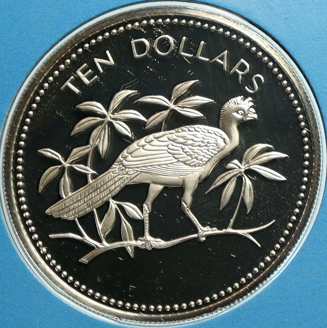 1975 BELIZE Avifauna Great Curassow BIRD VINTAGE Proof Silver $10 Coin i103197