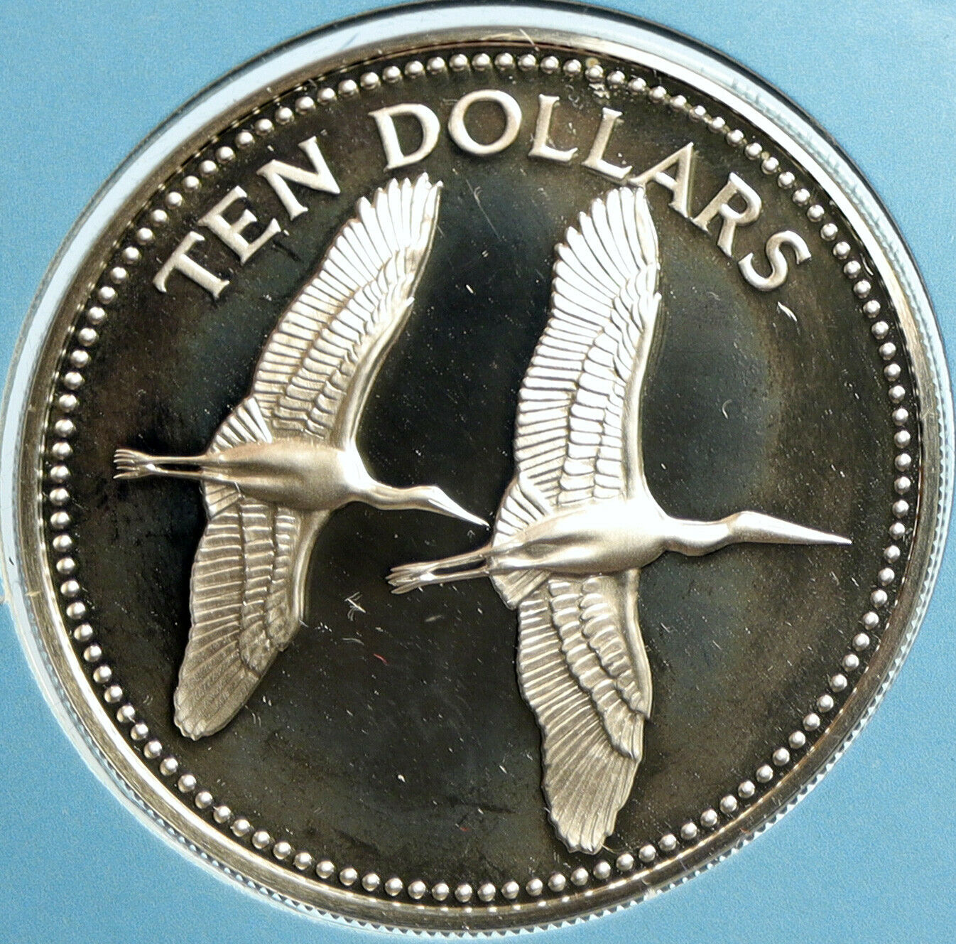 1979 BELIZE Avifauna Two Jabirus BIRDS VINTAGE Old Proof Silver $10 Coin i103191