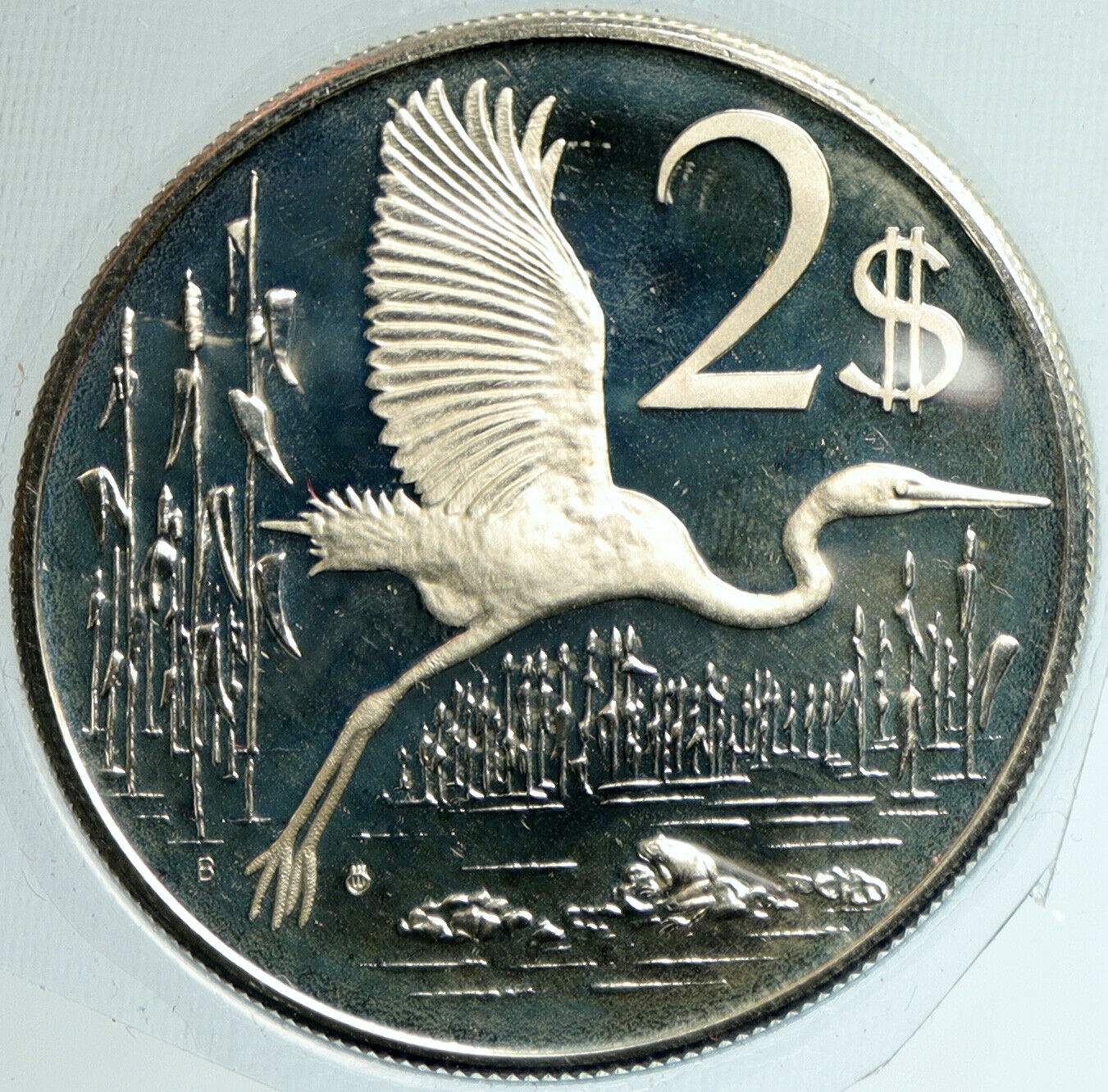 1975 CAYMAN ISLANDS 4.0cm OLD GREAT BLUE HERON BIRD Proof Silver $2 Coin i103170