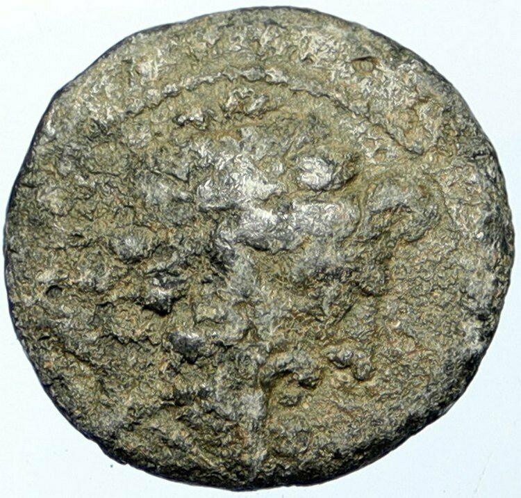 APAMEIA in Seleukis & Pieria Ancient Authentic OLD Greek Coin ELEPHANT i100656