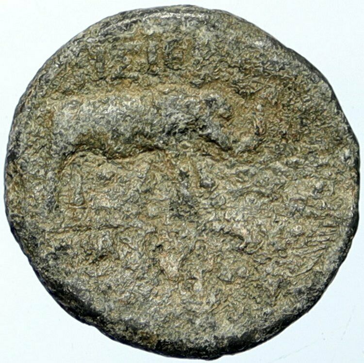 APAMEIA in Seleukis & Pieria Ancient Authentic OLD Greek Coin ELEPHANT i100656