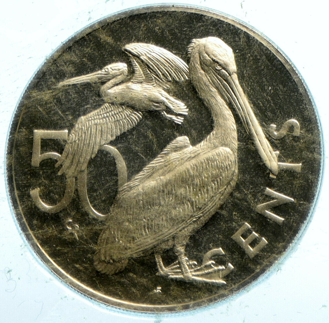 1973 British Virgin Islands UK Elizabeth II PELICAN Proof 50 Cent Coin i104076