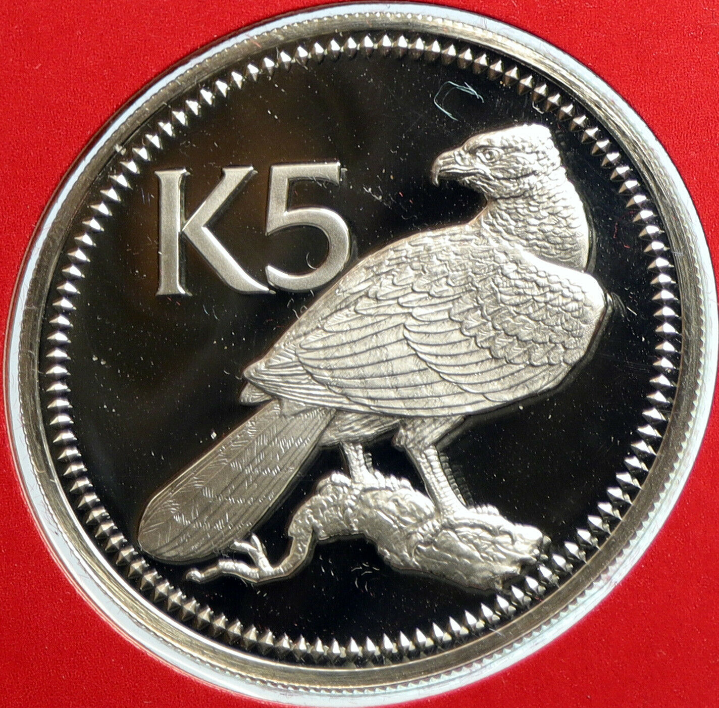 1976 PAPUA NEW GUINEA w PAPUAN Harpy EAGLE Old Proof Silver 5 Kina Coin i103917