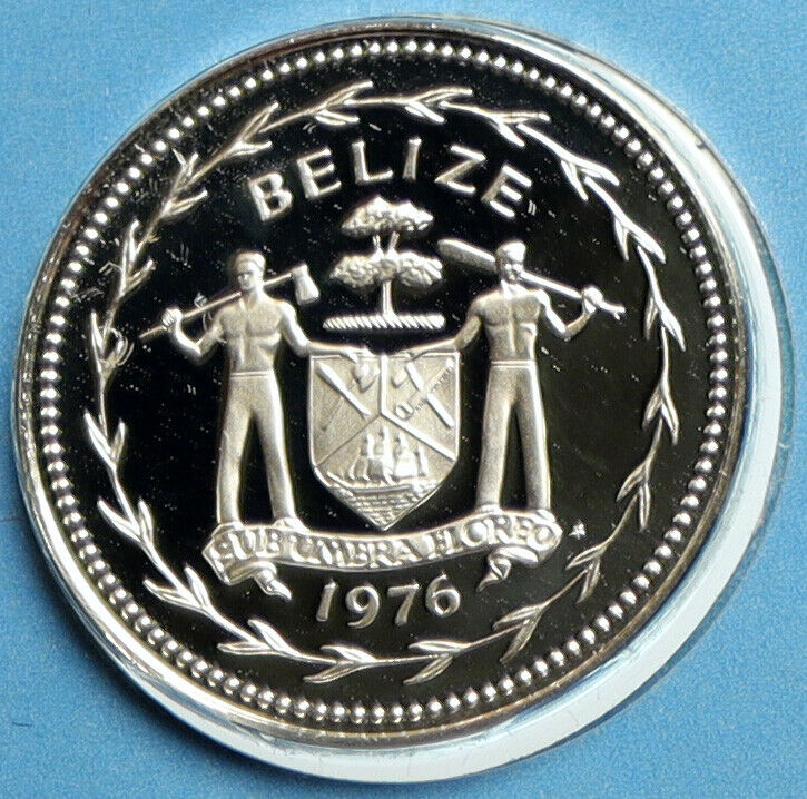 1976 BELIZE Avifauna FORK TAILED FLYCATCHER BIRD Proof Silver 5Cent Coin i103208