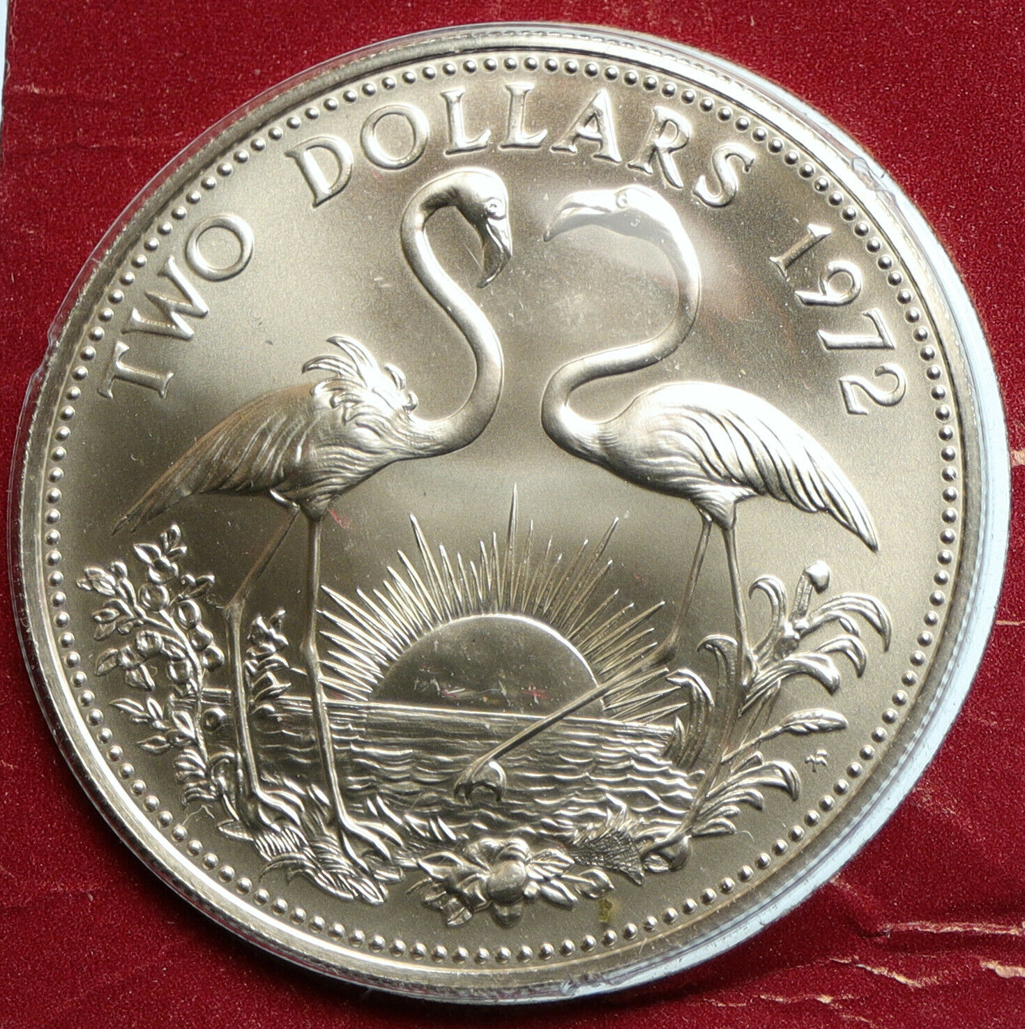 1973 The BAHAMAS Old UK Queen Elizabeth II FLAMINGO Old Silver $2 Coin i103506