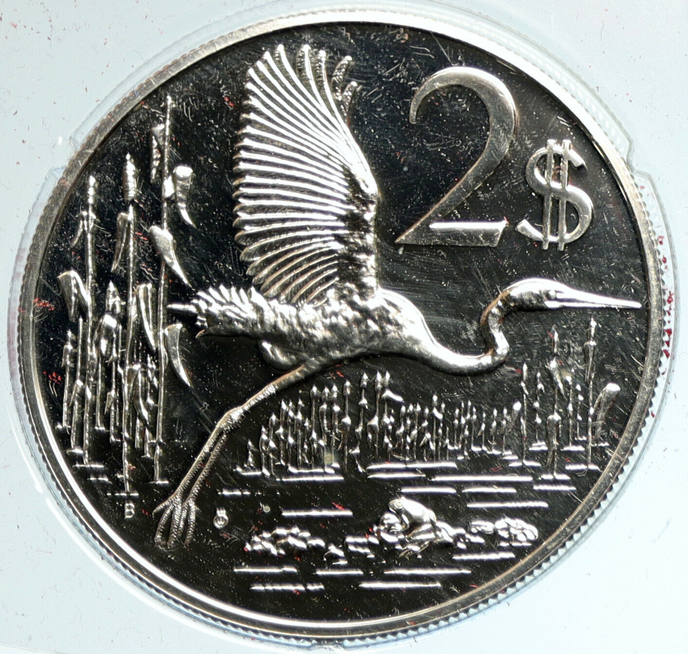 1972 CAYMAN ISLANDS 4.0cm Proof Silver $2 Coin GREAT BLUE HERON BIRD i103314