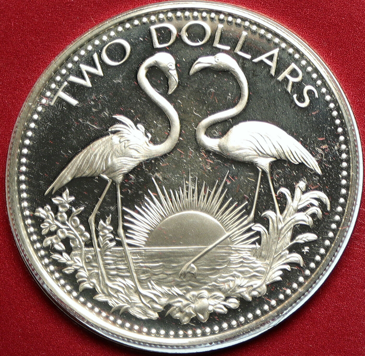 1978 BAHAMAS Islands TWO FLAMINGOS Vintage Proof Silver 2 Dollar Coin i103321