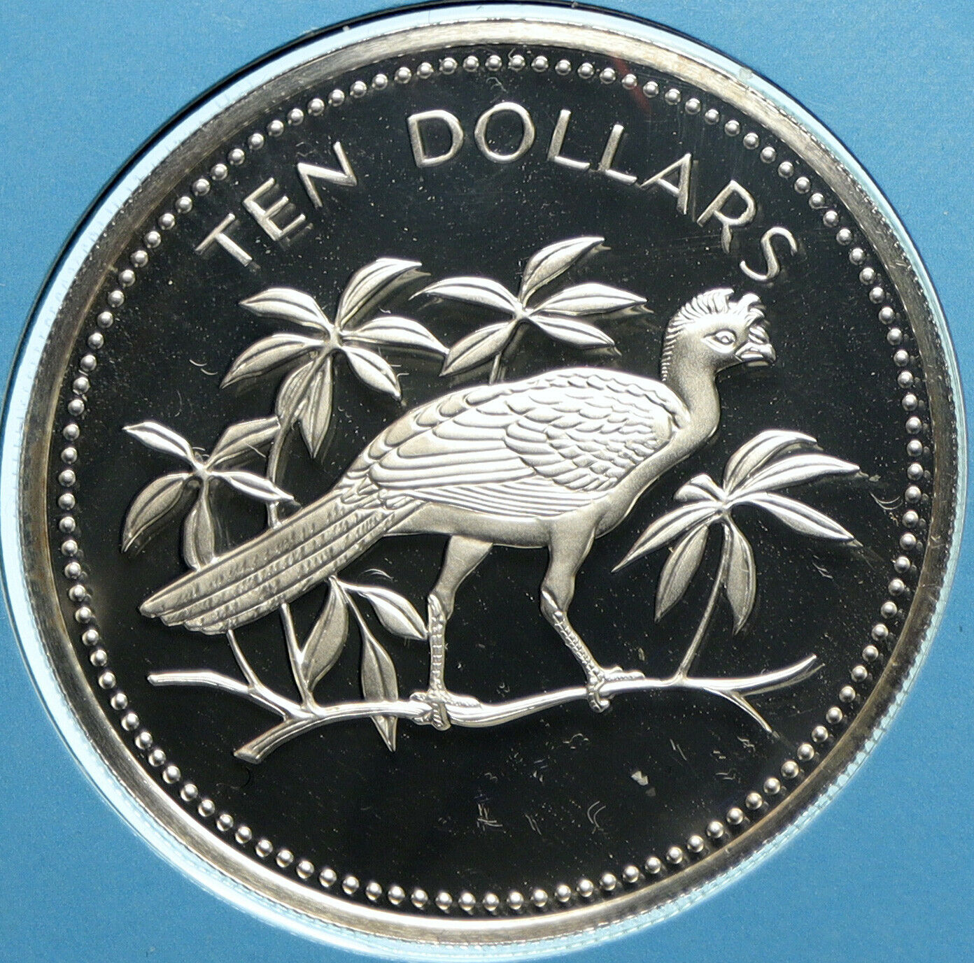 1975 BELIZE Avifauna Great Curasso BIRD VINTAGE Proof Silver $10 Coin i104051