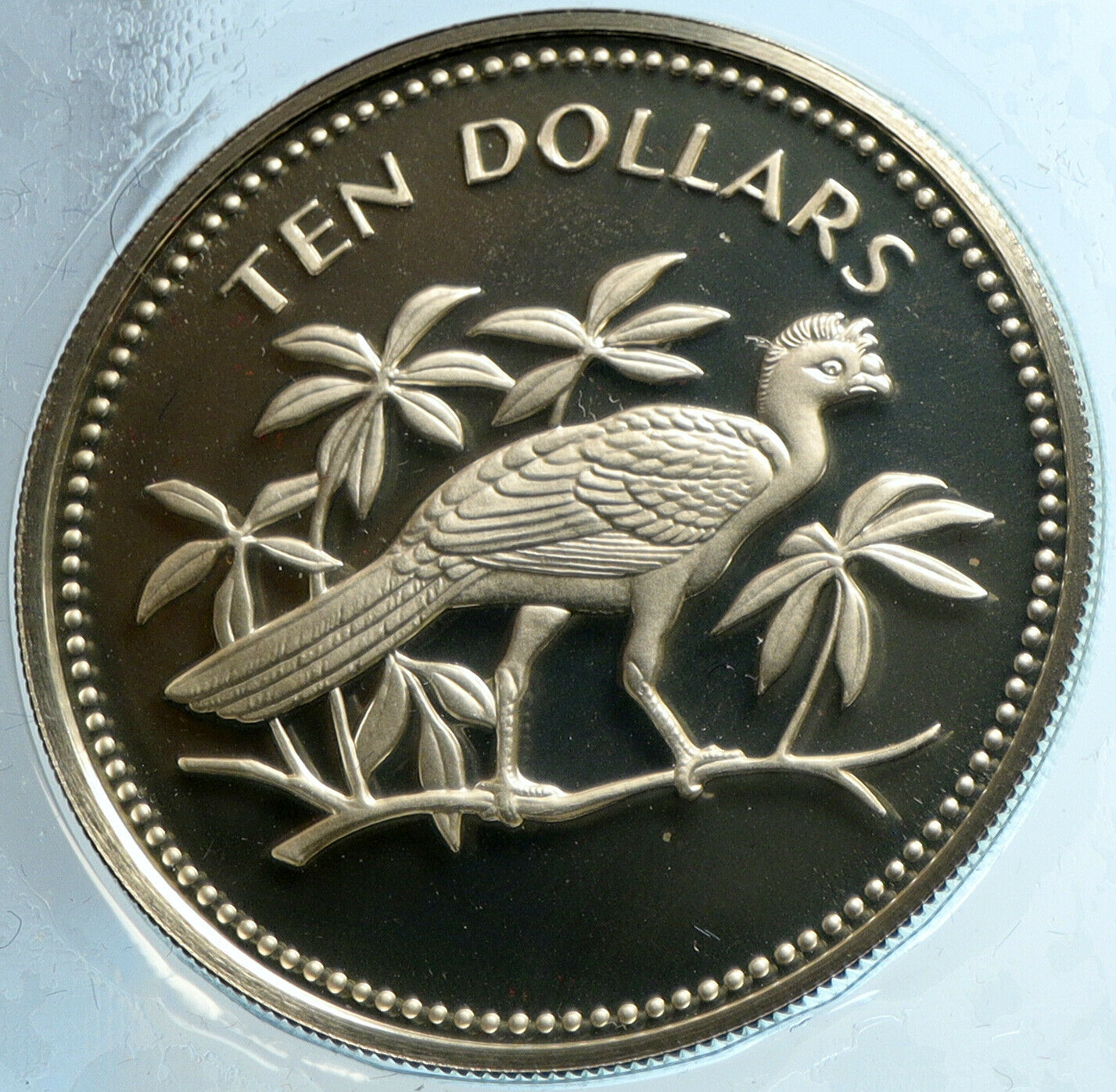 1974 BELIZE Avifauna Great Curasso BIRD VINTAGE Proof Silver $10 Coin i103969