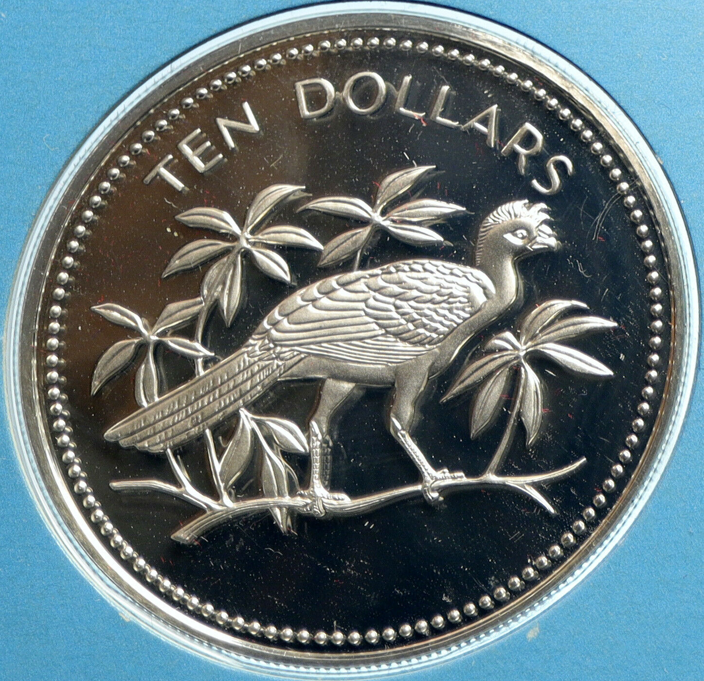 1975 BELIZE Avifauna Great Curasso BIRD VINTAGE Proof Silver $10 Coin i103962