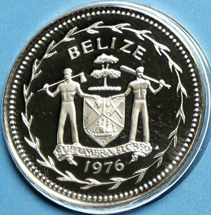 1976 BELIZE Avifauna FORK TAILED FLYCATCHER BIRD Proof Silver 5Cent Coin i104129