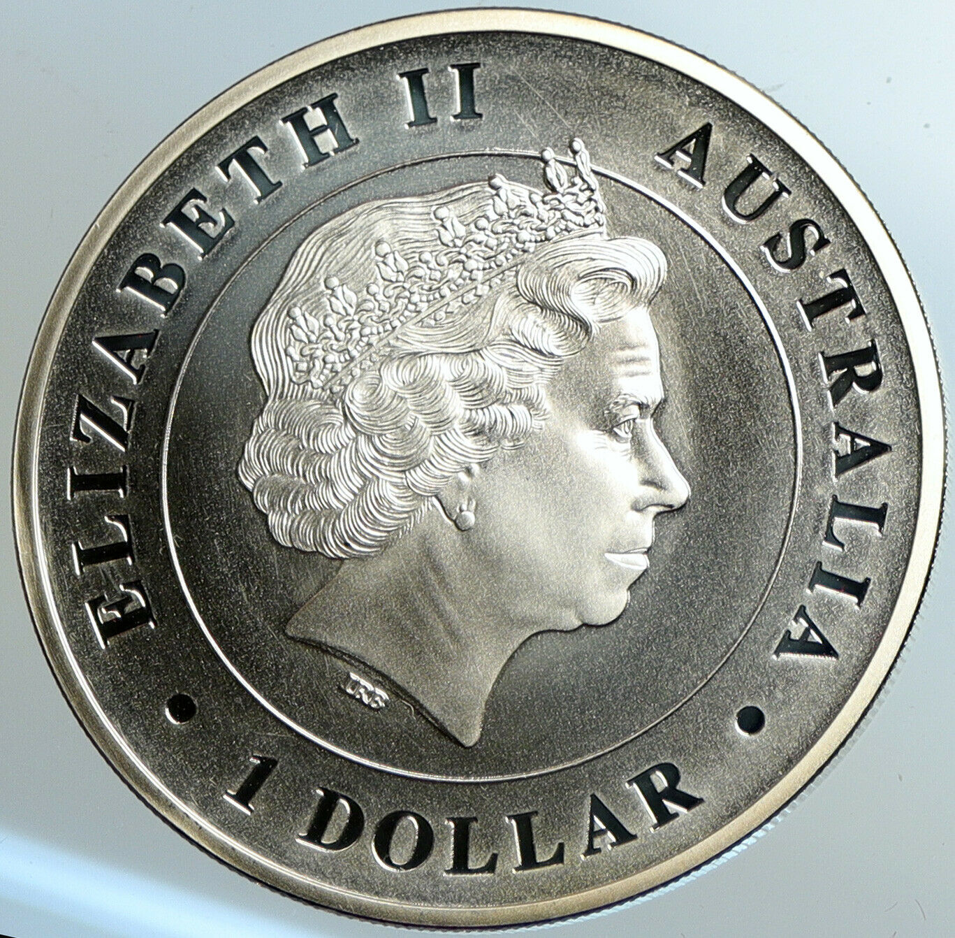 2015 AUSTRALIA UK Queen Elizabeth II Funnel Spider Genuine Silver $ Coin i102557