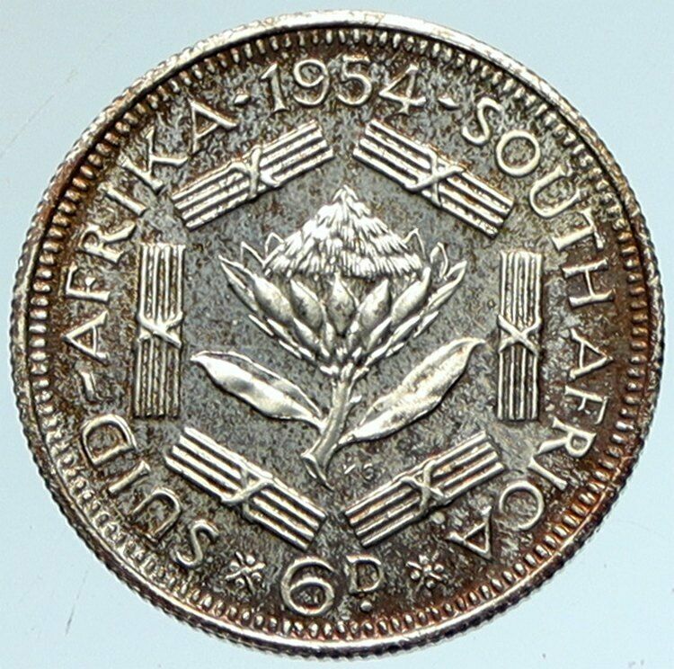 1954 SOUTH AFRICA Queen Elizabeth II VINTAGE OLD Silver Sixpence Coin i103357