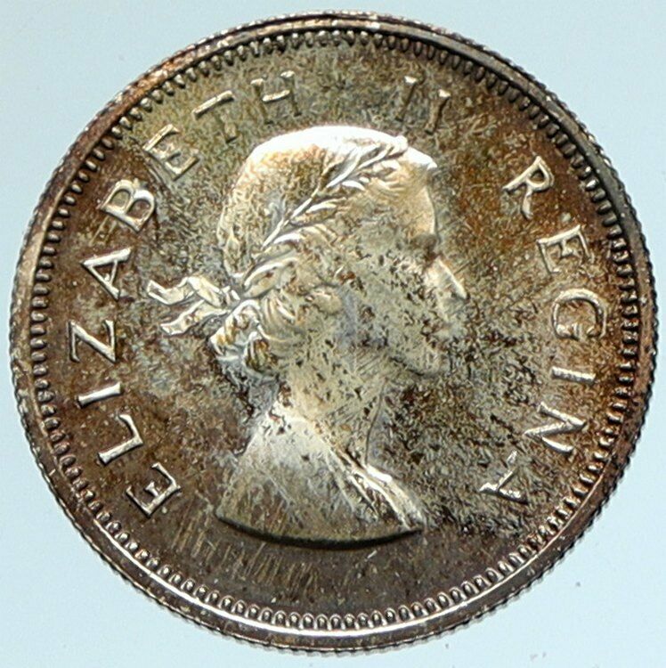 1954 SOUTH AFRICA Queen Elizabeth II VINTAGE OLD Silver Sixpence Coin i103357