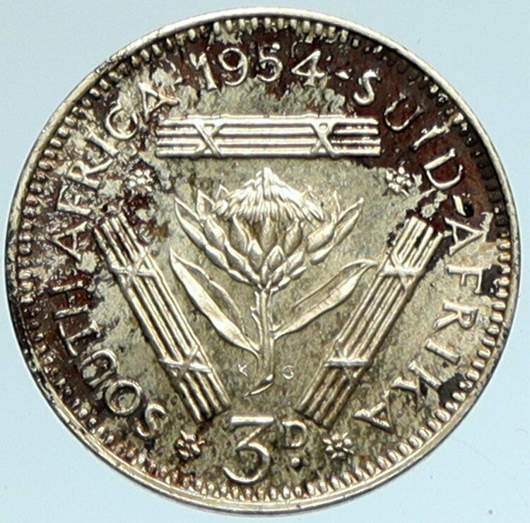 1954 SOUTH AFRICA Queen Elizabeth II VINTAGE OLD Silver Threepence Coin i103358