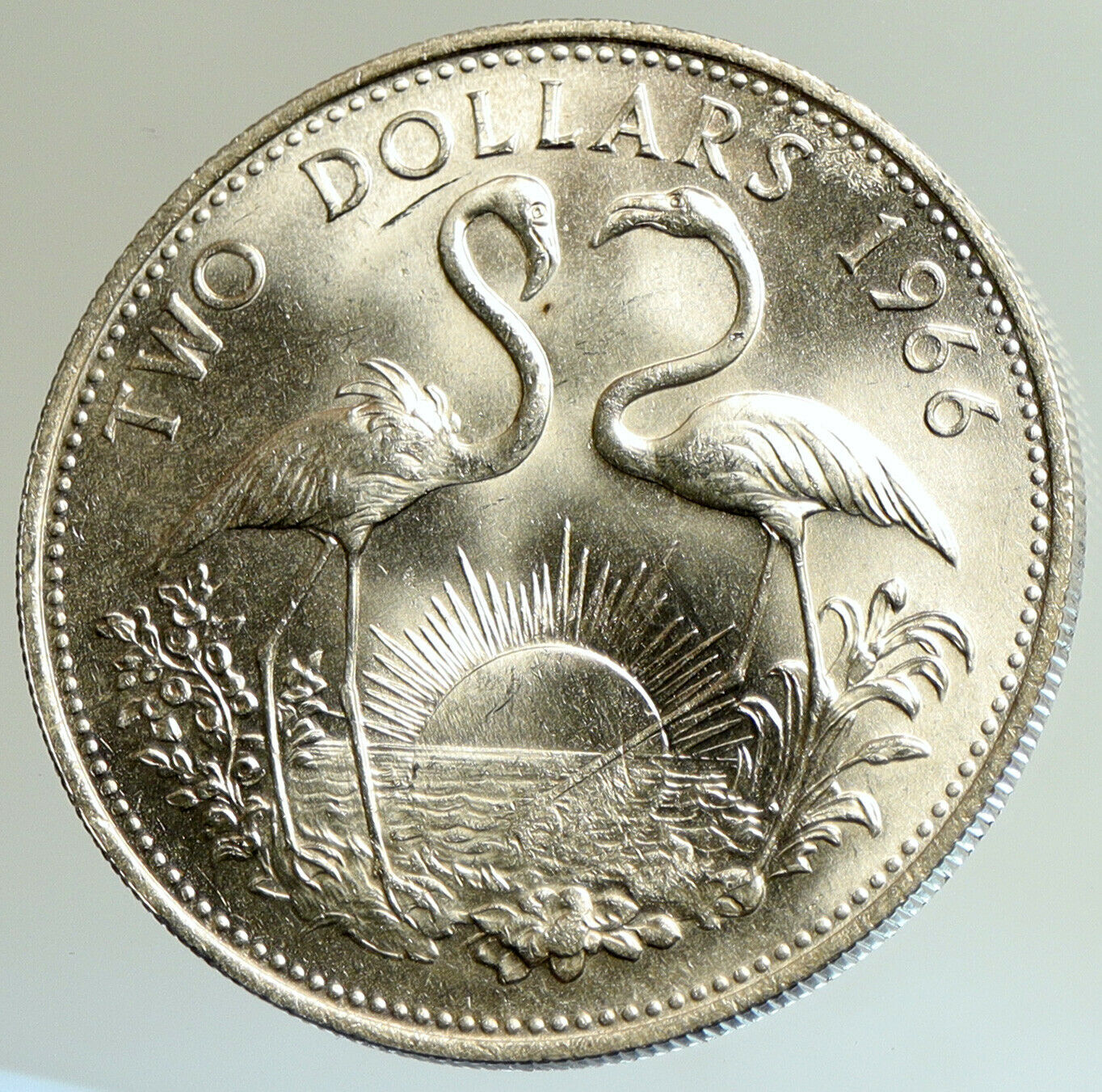 1966 The BAHAMAS Elizabeth II FLAMINGO Birds LARGE SILVER 2 Dollars Coin i105158