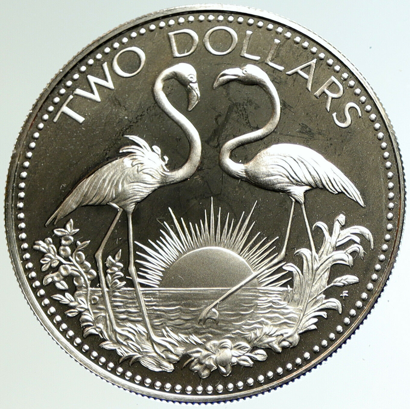 1974 The BAHAMAS Islands FLAMINGOS Vintage Proof Silver 2 Dollar Coin i104579