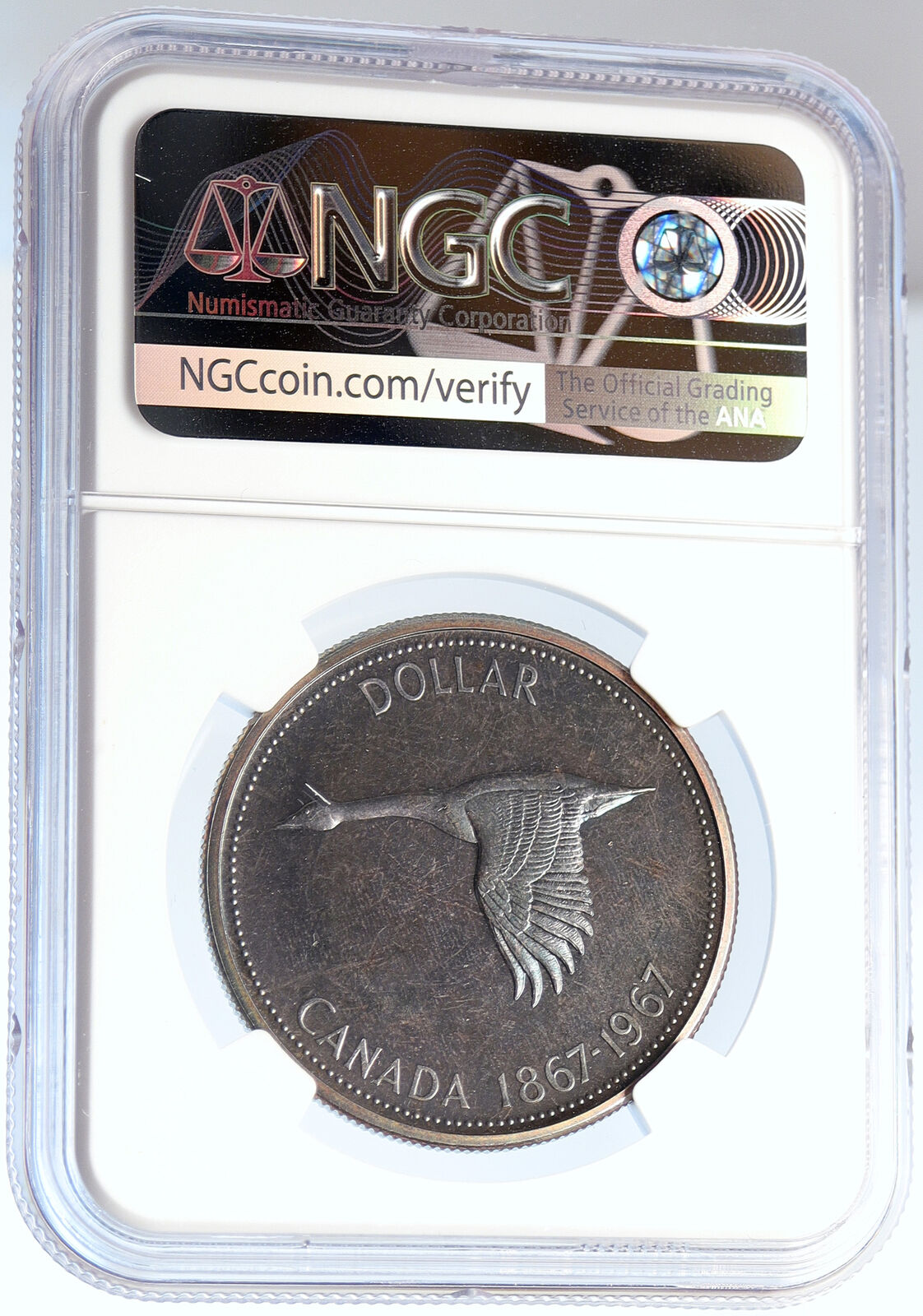 1967 CANADA Confederation Founding Goose SPECIMEN Silver Dollar Coin NGC i105814