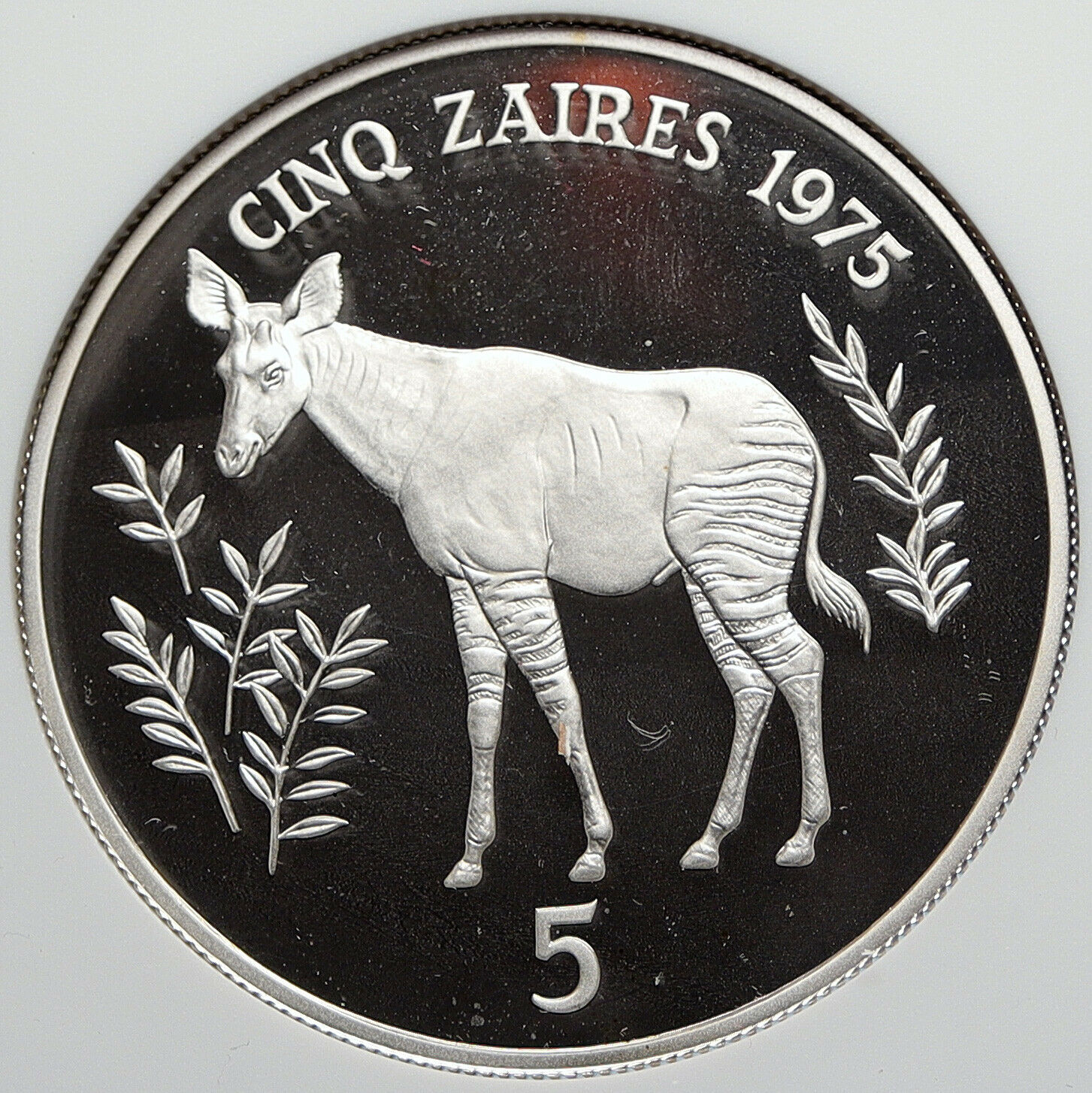 1975 ZAIRE CONGO Mobuto CONSERVATION Okapi Proof Silver 5 Zaire Coin NGC i105829