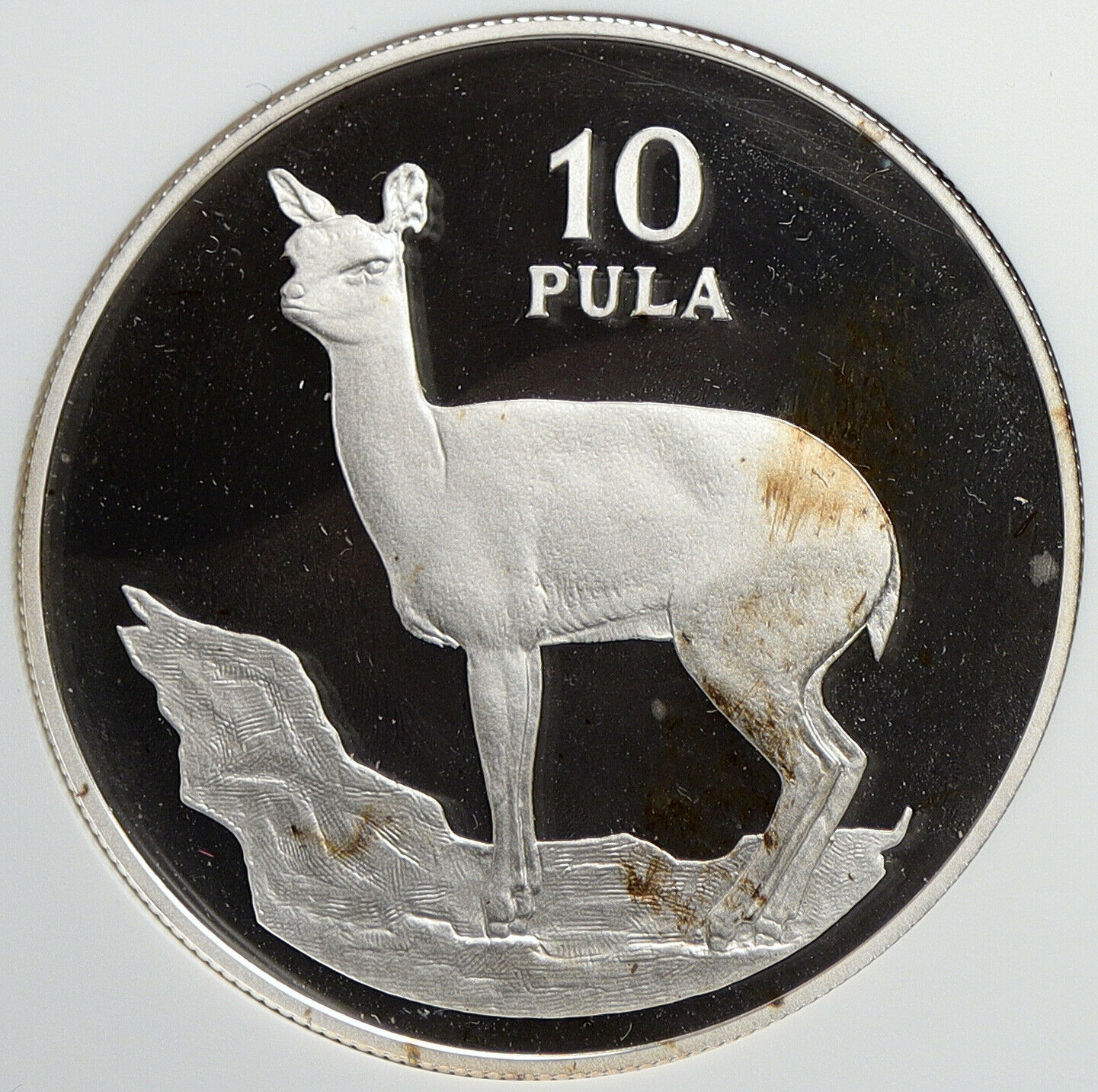 1978 BOTSWANA Klipspringer VINTAGE OLD Proof Silver 10 Pula Coin NGC i105848