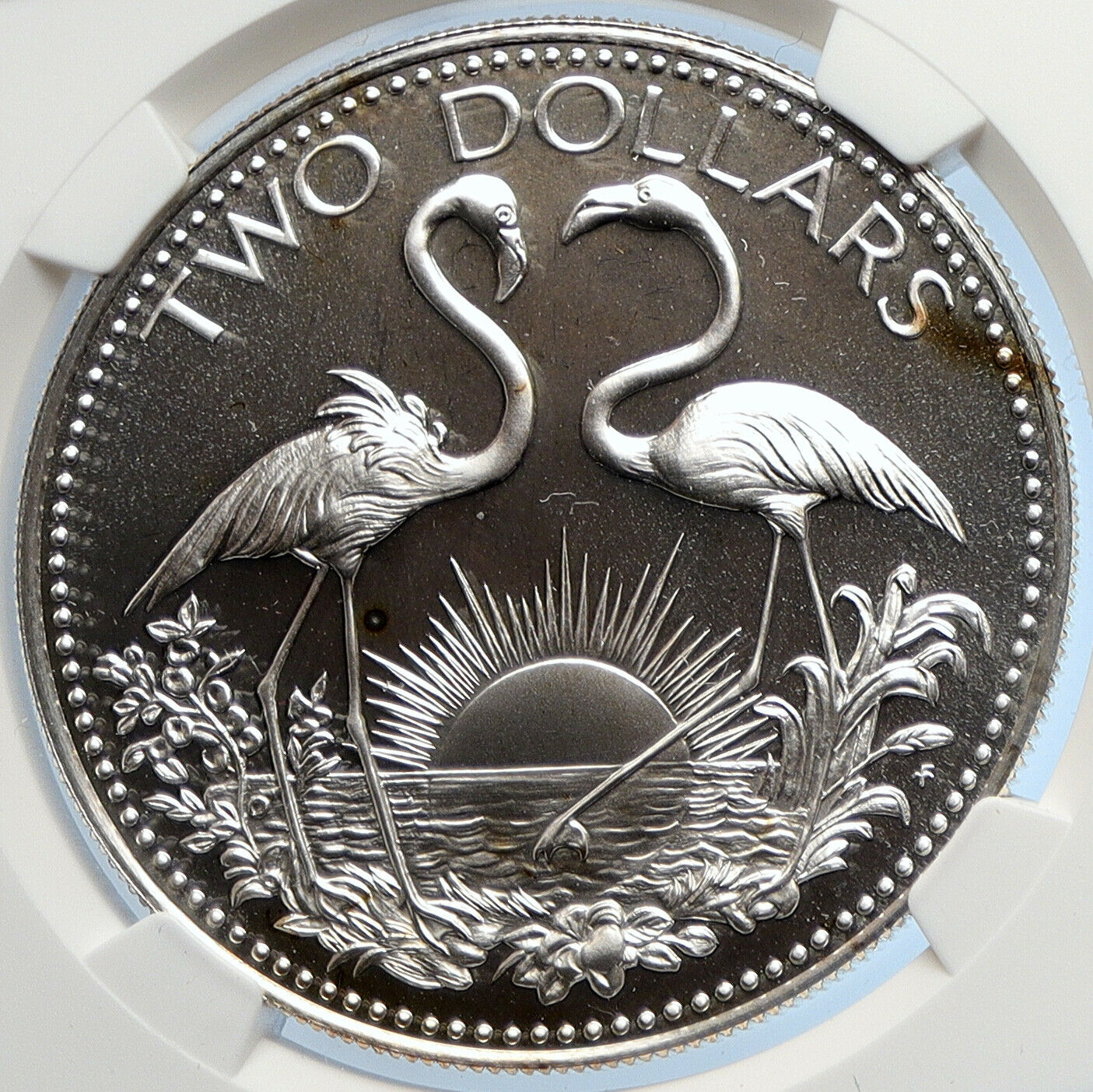 1976 The BAHAMAS Islands TWO FLAMINGOS Vintage Proof Silver $2 Coin NGC i105872