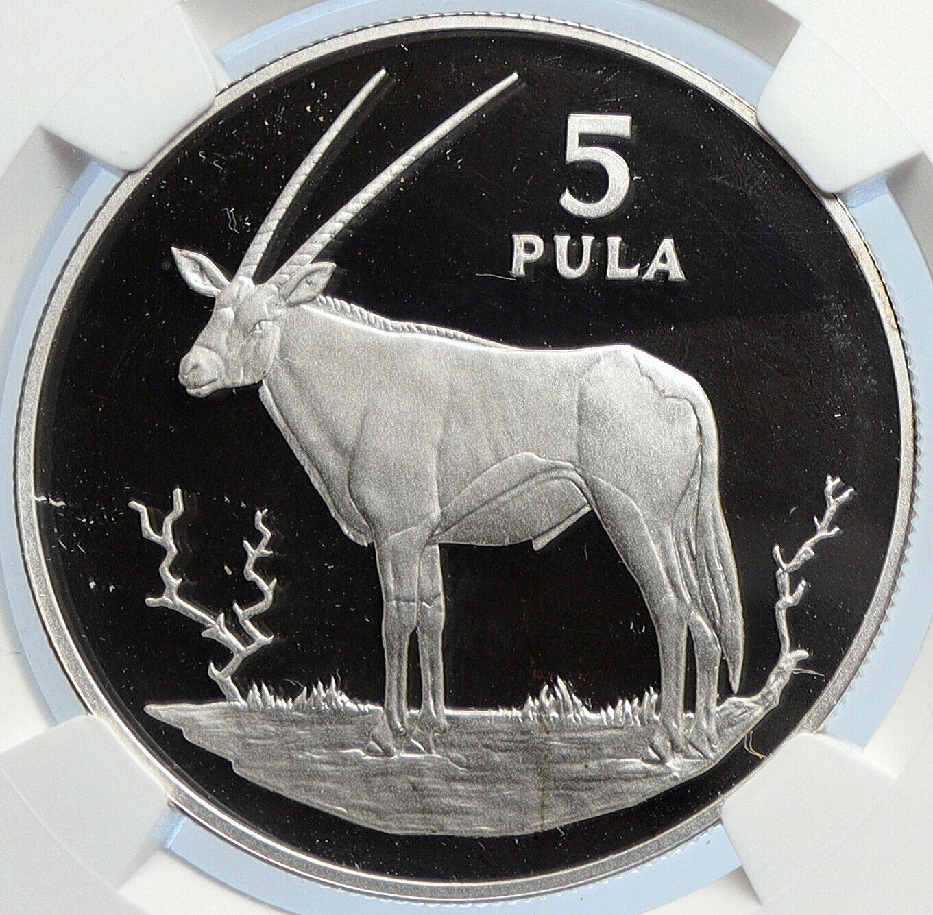 1978 BOTSWANA Klipspringer VINTAGE OLD Proof Silver 5 Pula Coin NGC i105880