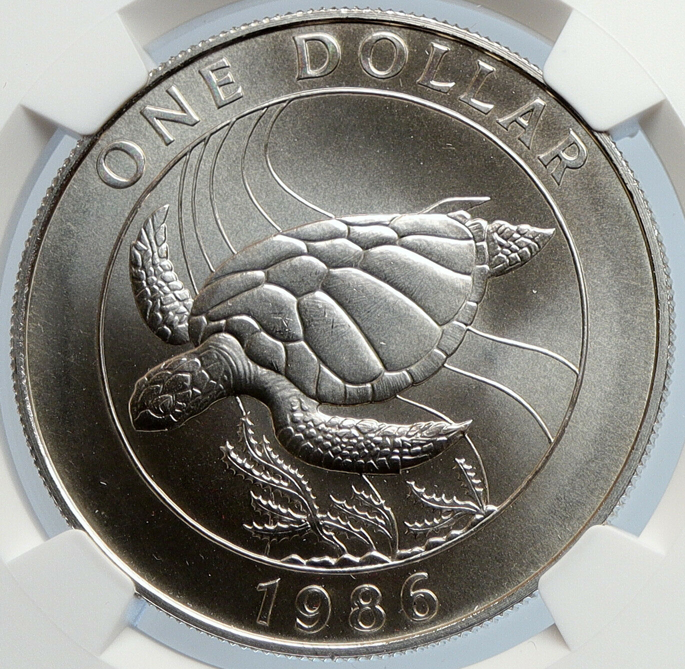 1986 Bermuda UK Queen Elizabeth II TURTLE Proof Silver 1 Dollar Coin NGC i105903