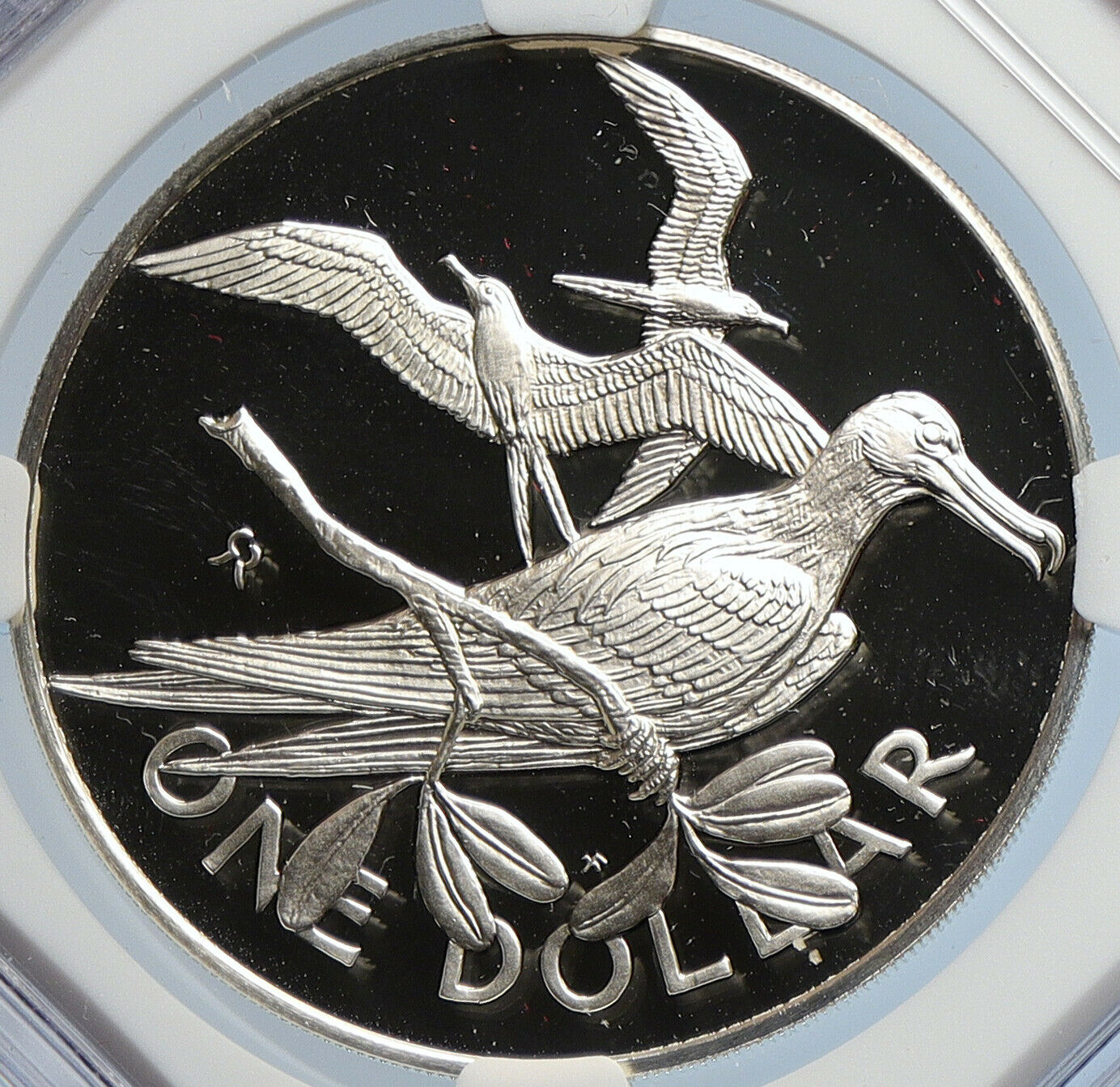 1976 British Virgin Islands Elizabeth II BIRD Proof Silver $1 Coin NGC i105950