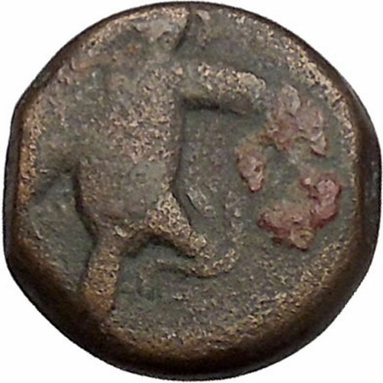 AKRAGAS SICILY 425BC Hexantes Eagle Serpent Crab Grouper Fish Greek Coin i41526