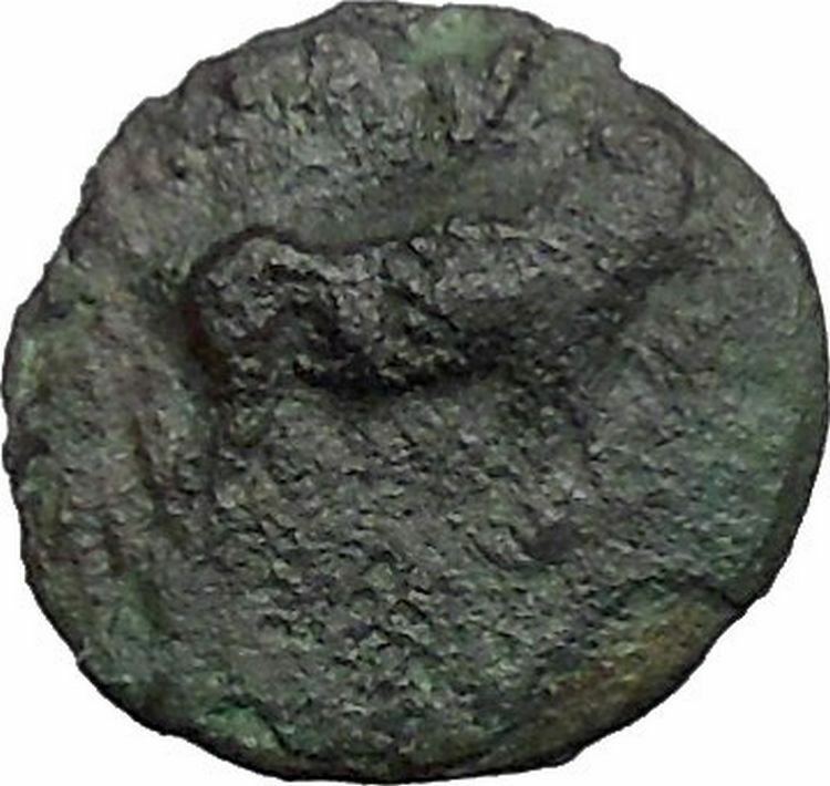 Euobian League in Euboia 272BC Cow Grapes Authentic Ancient Greek Coin i48799