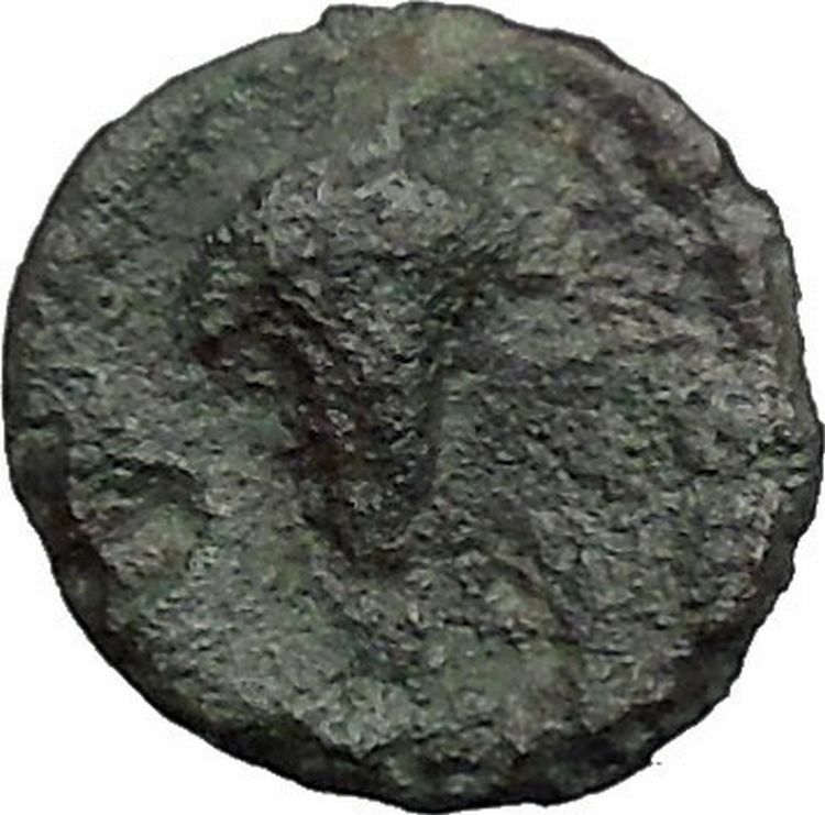 Euobian League in Euboia 272BC Cow Grapes Authentic Ancient Greek Coin i48799