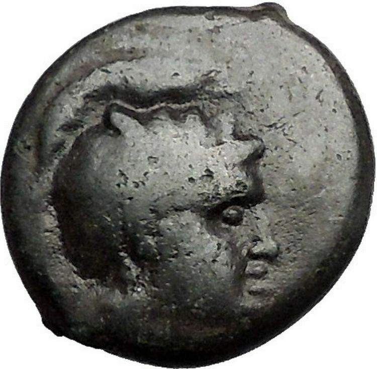 PELLA in MACEDONIA 168BC Roman Quaestor Tamios Athena Bull Greek Coin i55553