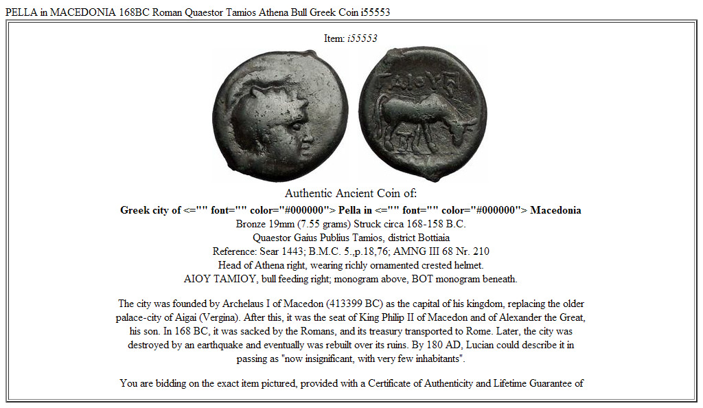 PELLA in MACEDONIA 168BC Roman Quaestor Tamios Athena Bull Greek Coin i55553