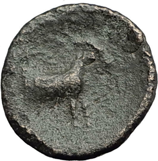 AIGAI in AEOLIS 2-1CenBC Genuine Authentic Ancient Greek Coin ATHENA GOAT i63786