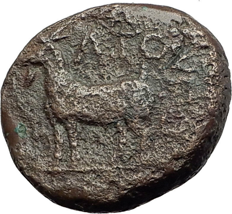 AIGOSPOTAMOI in THRACE 300BC Demeter Goat Authentic Ancient Greek Coin i63838