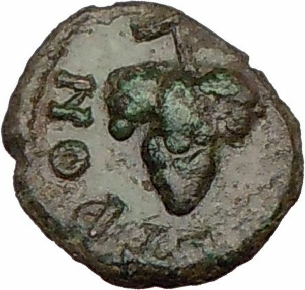 NICOPOLIS ad ISTRUM Roman Senate Dionysus Grapes Rare Ancient Coin i22598