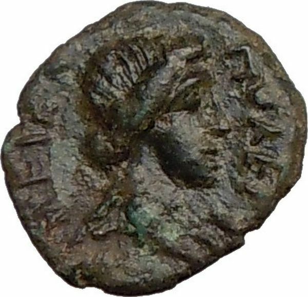 NICOPOLIS ad ISTRUM Roman Senate Dionysus Grapes Rare Ancient Coin i22598