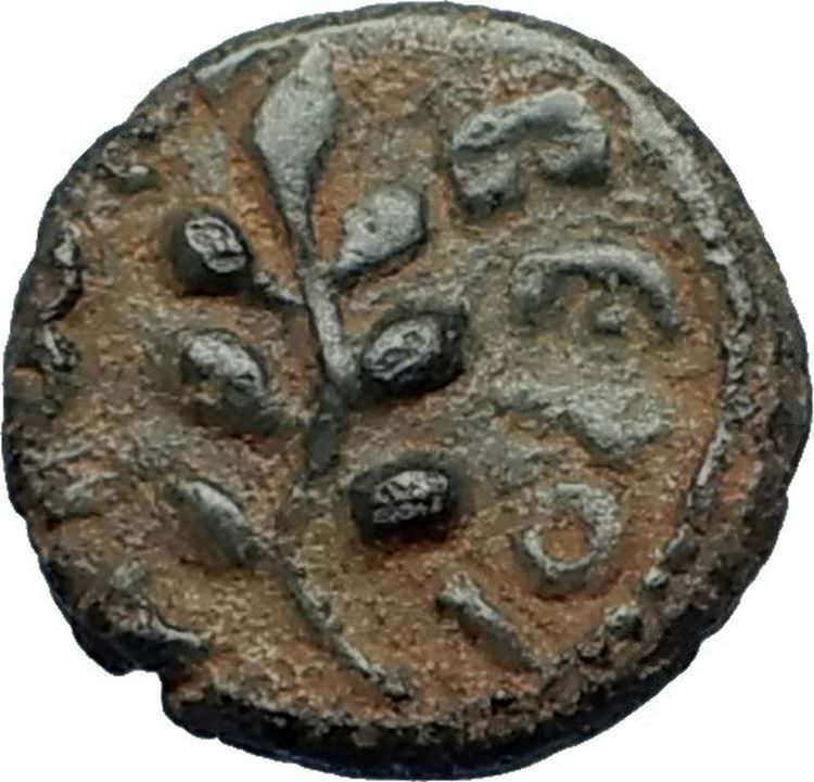 HADRIAN 117AD Authentic Ancient Beroea in Cyrrhestica Roman Coin w BRANCH i67513