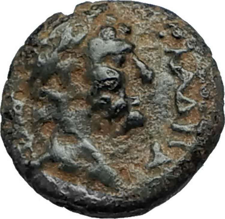 HADRIAN 117AD Authentic Ancient Beroea in Cyrrhestica Roman Coin w BRANCH i67513