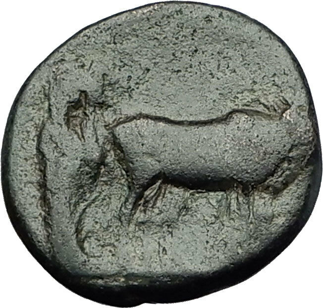 AUGUSTUS 27BC Philippi Macedonia PRIESTS Founding City Oxen Roman Coin i59290