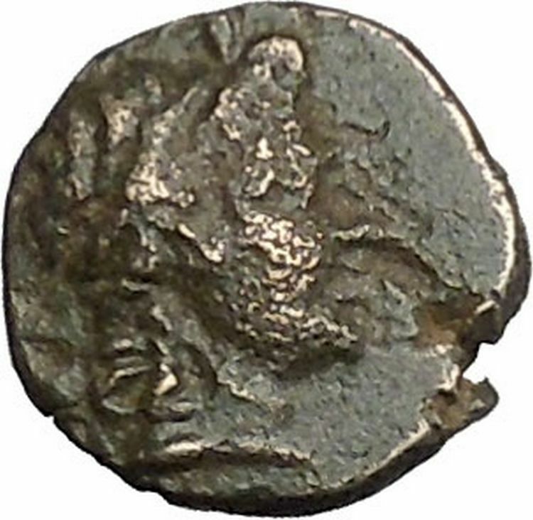 Kaunos in Caria 191BC Ancient Greek Coin Alexander the Great Cornucopia i49011