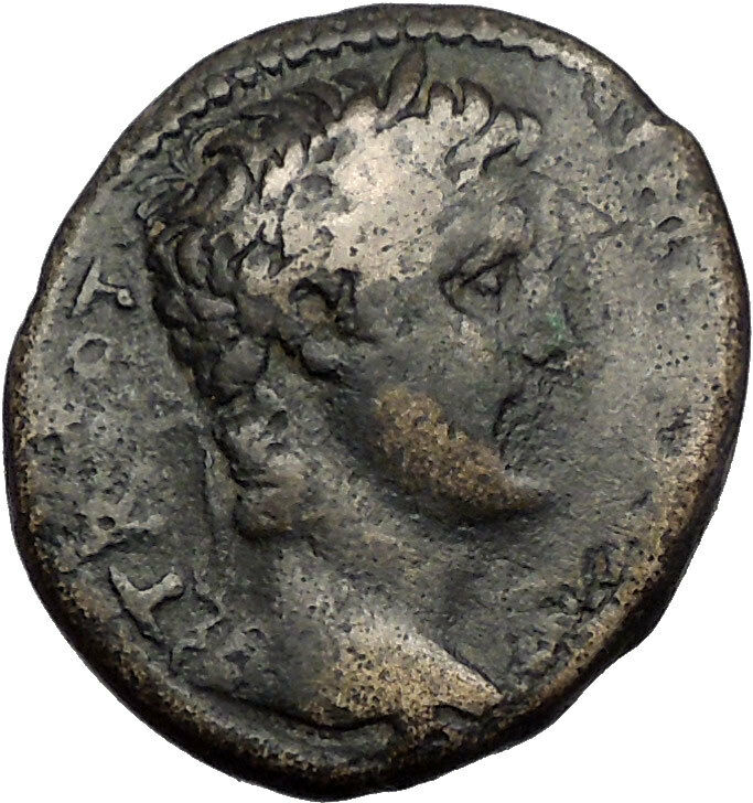 AUGUSTUS 4AD Antioch Seleukis Pieria SC Rare Authentic Ancient Roman Coin i56355