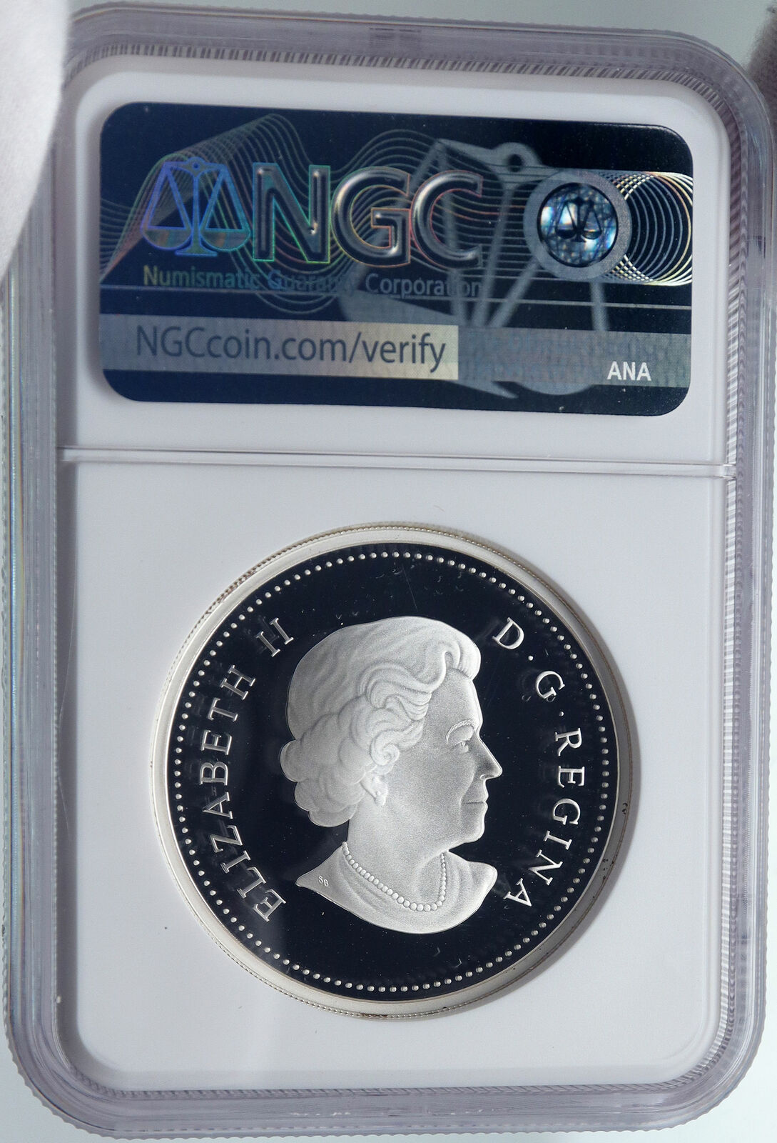 2009 CANADA Queen Elizabeth II Leaf SWAROVSKI Raindrop Silver 20 Coin NGC i86001