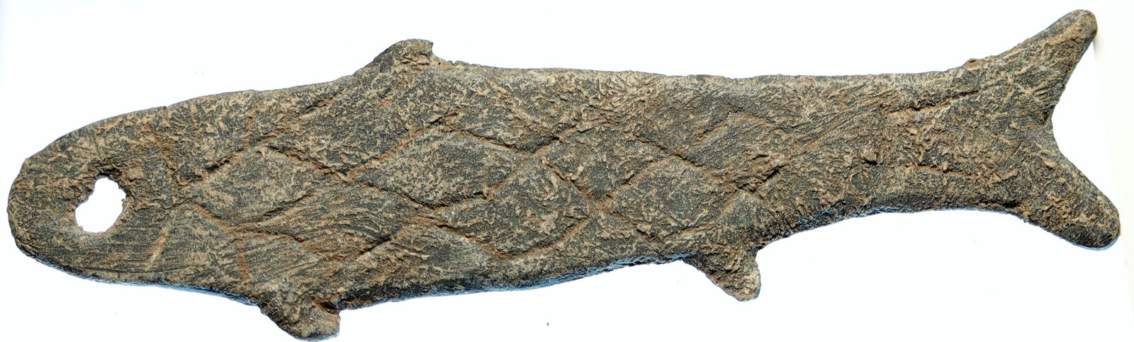 771-476 BC CHINESE Zhou Dynasty SPRING-AUTUMN Old Yu Pi FISH Money CHINA i97119