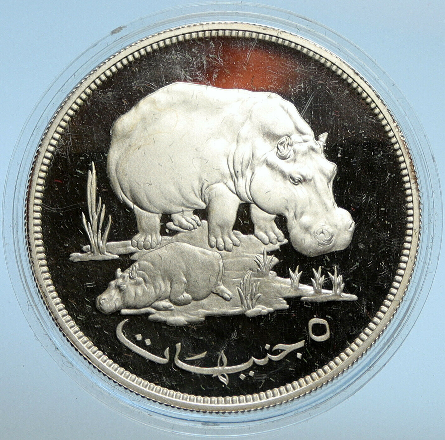 1976 1396AH SUDAN Conservation HIPPOPOTAMUS Old Proof Silver 5 Pound Coin i99689